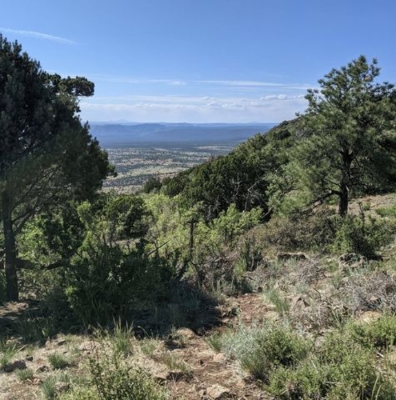 Meet your Posher, Ricki - Picture 1 of 1